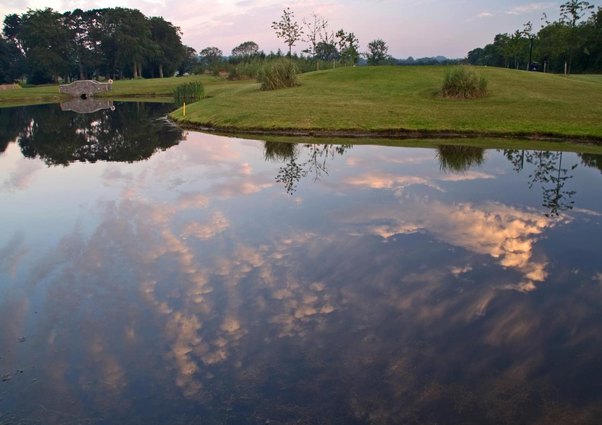 Roganstown Hotel & Country Club Swords Buitenkant foto